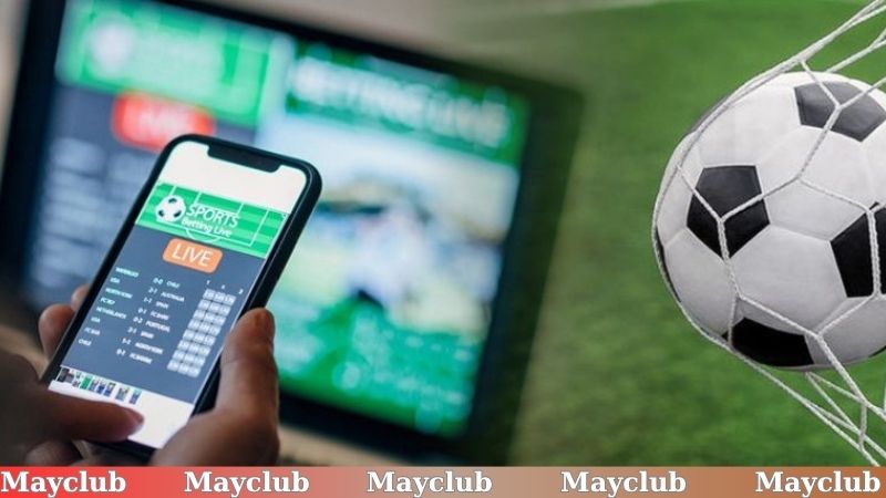 Nghiên cứu thông tin đội bóng là mẹo đặt cược bóng đá an toàn